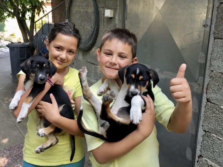 young guests with our puppies